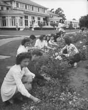 8x10 Poster Print 40s Sorority Sisters Picked Pansies Los Angeles Country Club picture