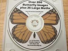 Butterfly & Large Moths Images Full Resolution Butterflies Vintage DVD Excellent picture