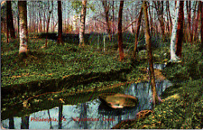 C. 1910 Wooded View of Wissahickon Creek Philadelphia PA Postcard Pennsylvania picture