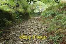 Photo 6x4 Mary Tavy: path to Horndon Cudlipptown From Horndon Bridge c2008 picture