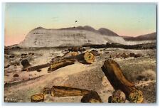 1929 Scenic View Petrified Forest Holbrook Arizona Vintage Hand-Colored Postcard picture
