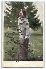 c1920's Greetings From Ozawkie Kansas KS Unposted Dog Sitting On Log Postcard picture