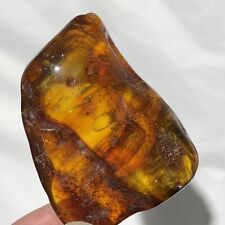 Polished Amber From The Baltic Sea In POLAND 24.5g Top Quality picture