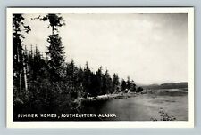 Southeastern AK-Alaska, Summer Homes, Nature Tree View, Vintage Postcard picture