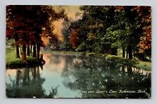 Postcard Lover's Lane Kalamazoo Michigan, 1911 Antique A4 picture