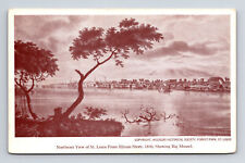Big Mound Native American From IL Shore 1840 Bloody Island St Louis MO Postcard picture