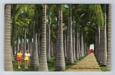 Royal Palms FL-Florida, Stately Royal Palms, Antique, Vintage c1947 Postcard picture