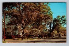 Manning SC-South Carolina, Street Scene, Antique, Vintage Postcard picture