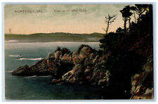 Monterey California CA Postcard View on 17 Mile Drive and River c1910 picture