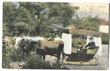 Postcard Bullock Carro Funchal Madeira Portugal  picture