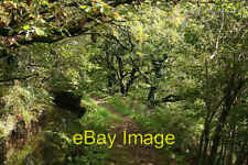 Photo 6x4 Mary Tavy: Hillbridge leat 3 Cudlipptown In woodland in the Tav c2008 picture