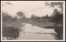 Weedsport, New York, Cows and Pond, Cayuga County, Real Photo Postcard RPPC picture