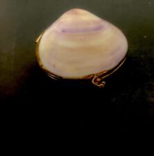 Vintage Clam Shell Hinged Trinket Box Brass Rim And Clasp. picture