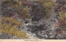Otego NY New York Otsdawa Creek River Hand Colored Otsego County Vtg Postcard M4 picture
