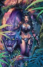 GRIMM FAIRY TALES WONDERLAND ANNUAL OUT OF TIME CVR C KROME (ZENESCOPE) 71023 picture