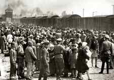1942 HUNGARIAN JEWS on the Ramp at Auschwitz WW2 Poster Photo 13x19 picture