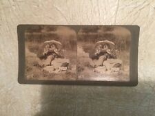 X RARE 1800’s AFRICAN AMERICAN Man & woman STEREO CARD picture
