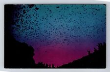 Carlsbad Caverns Natl Park, Bat Flight from Natural Entrance Vintage Postcard picture