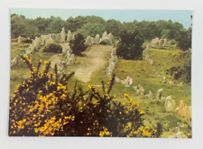 Kermario's Alignments Carnac France Postcard Panoramic picture