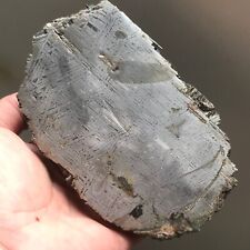 100% Aletai Iron Meteorite End-Cut Etched 1726.6 Grams Fusion Crust Sealed Glaze picture