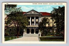 Chicago IL-Illinois, Natural History Museum, Lincoln Park, Vintage Postcard picture