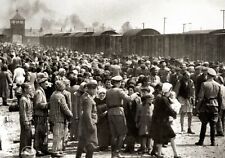 1942 HUNGARIAN JEWS on the Ramp at Auschwitz  WW2 PHOTO  (193-S) picture