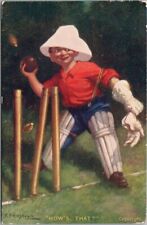 Vintage 1907 CRICKET Sports Greetings Postcard HOW'S THAT? Artist E.P. KINSELLA picture