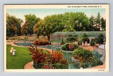 Syracuse NY-New York, Zoo in Burnett Park Vintage Souvenir Postcard picture