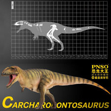 PNSO Carcharodontosaurus Gamba Carcharodontosauridae Dinosaur Animal Model Toy picture