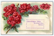 1908 Greetings From Lexington Nebraska NE Posted Flowers And Leaves Postcard picture