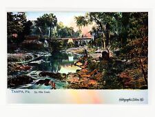 Six Mile Creek, Tampa, Florida 1905 *HOLOGRAPHIC SILVER* Retouched Postcard picture