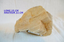 WOOD FOSSILISE millions of years region ALLIER France 500 grs picture