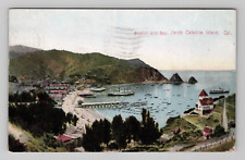 Postcard 1911 CA Avalon Bay Boats Dock Beach Santa Catalina Island California picture