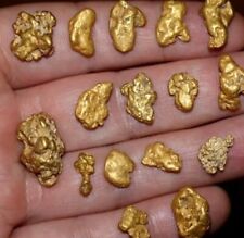 Rich Gold Nugget Pay Dirt Approximately 6oz's OF UNSEARCHED PAYDIRT BUY 2/1 FREE picture