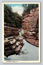 Scenic View of Ausable Chasm New York NY Postcard picture