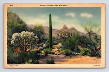 c1934 Desert Flora of the Southwest Cactus Linen Postcard picture