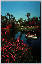 Cypress Gardens Winter Haven Florida Vintage Postcard-Boating picture