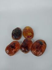 UNIQUE 5 ANCIENT EGYPTIAN Antique Scarab Amber Luck Hieroglyphic Protection picture