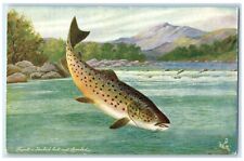 c1910's Trout Hooked But Not Landed Oilette Tuck's Unposted Antique Postcard picture