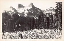 RPPC Tatoosh Range Mount Rainier WA avalanche lily flowers Photo Postcard C46 picture