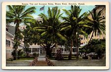 Postcard Banyan Tree Coconut Palms Moana Hotel Honolulu Hawaii Unposted picture