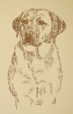 YELLOW LABRADOR RETRIEVER ART PORTRAIT #118 Kline will add dogs name free. GIFT picture
