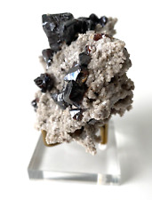 Lustrous Sphalerite Crystals on Dolomite Matrix from Elmwood picture