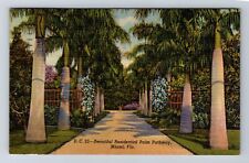 Miami FL-Florida, Beautiful Residential Palm Pathway, Vintage c1952 Postcard picture