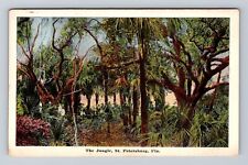 St Petersburg FL- Florida, The Jungle, Antique, Vintage Postcard picture