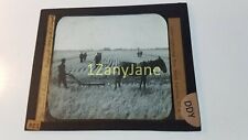 DDY Glass Magic Lantern Slide Photo HORSES CULTIVATING RICE SOUTH CAROLINA USA picture
