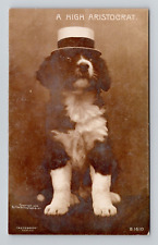 RPPC Fancy Dog with Hat 