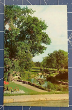 Postcard Como Park St. Paul Minnesota picture