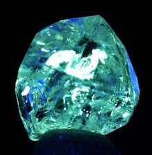 PETROLEUM ASPHALTITE in QUARTZ Specimen Fluorescent Crystal Mineral PAKISTAN picture