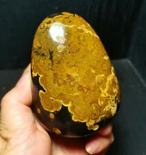 TOP 412G Natural Inner Mongolia Gobi Eye Agate Crystal Decoration Healing BWD944 picture